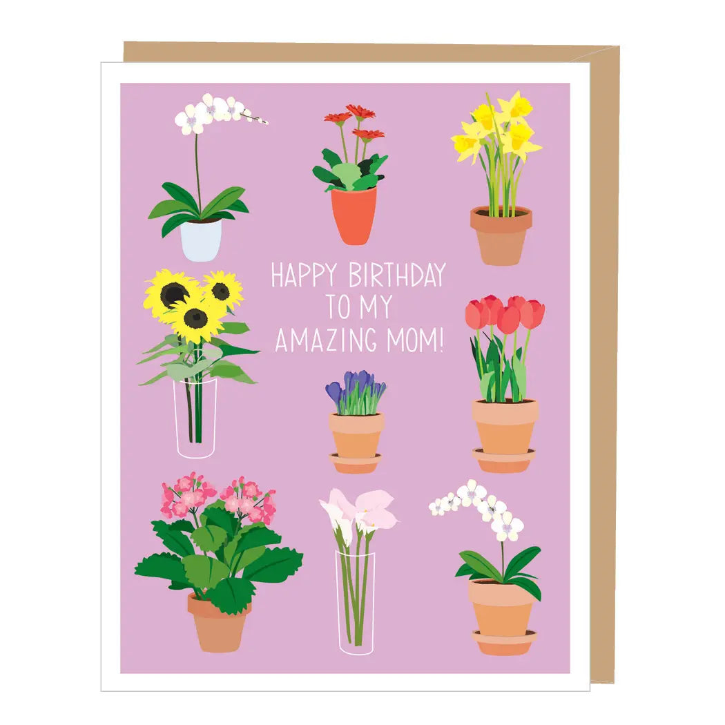 Apartment 2 Cards