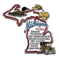 Michigan State Magnet