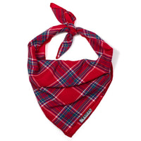 The Worthy Dog Bandana
