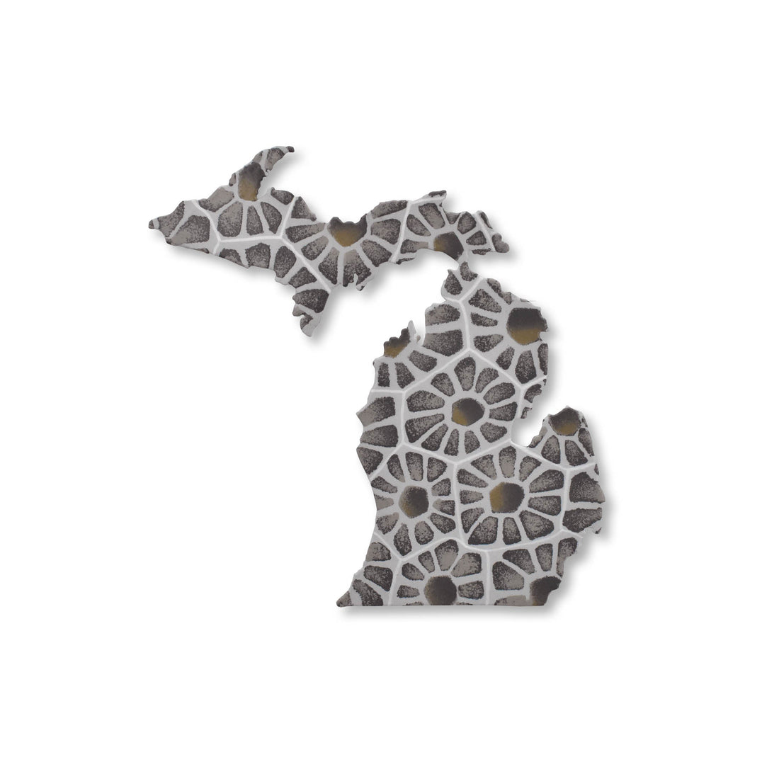Roeda Magnets