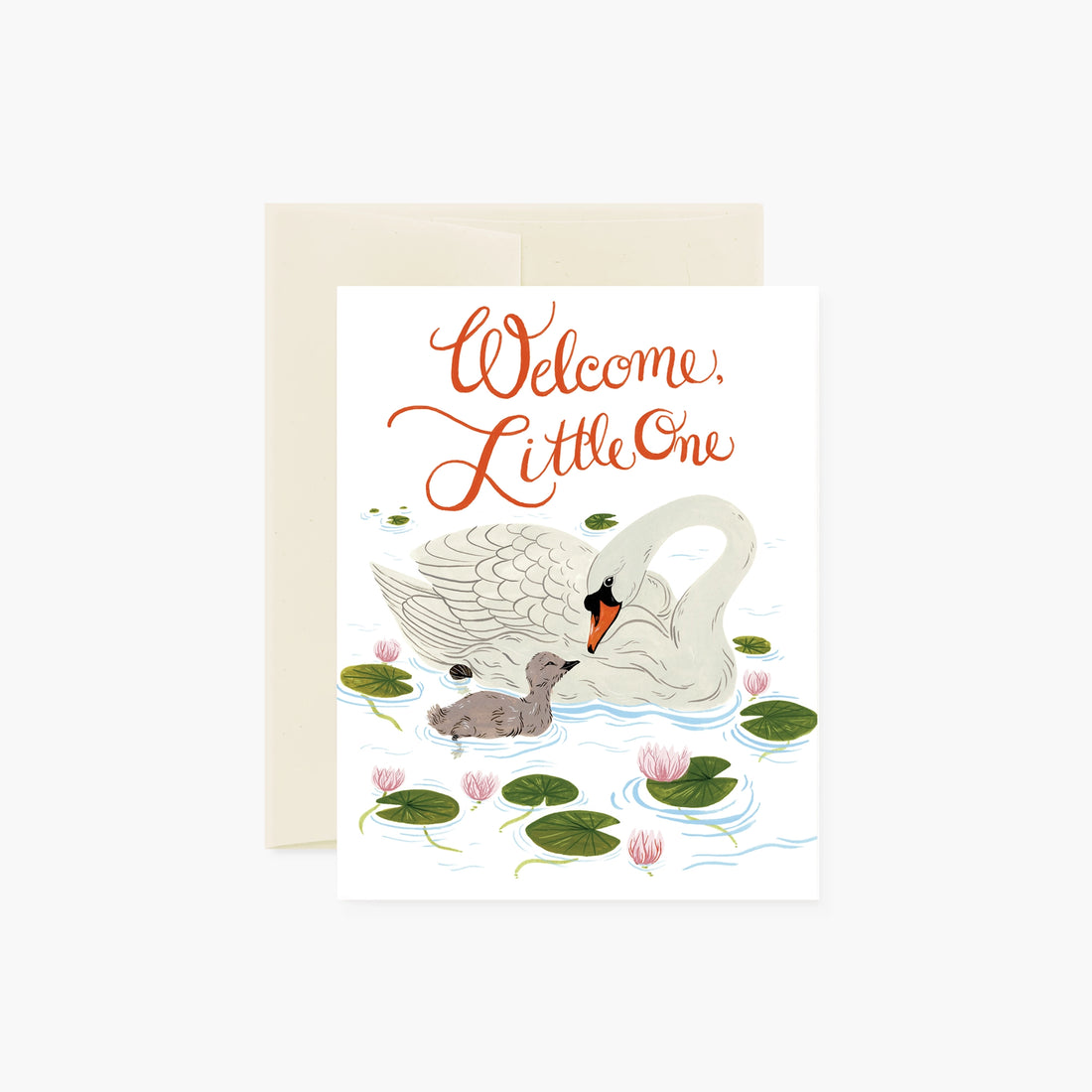 Botanica Paper Co. | Cards