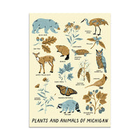 City Bird I Magnets
