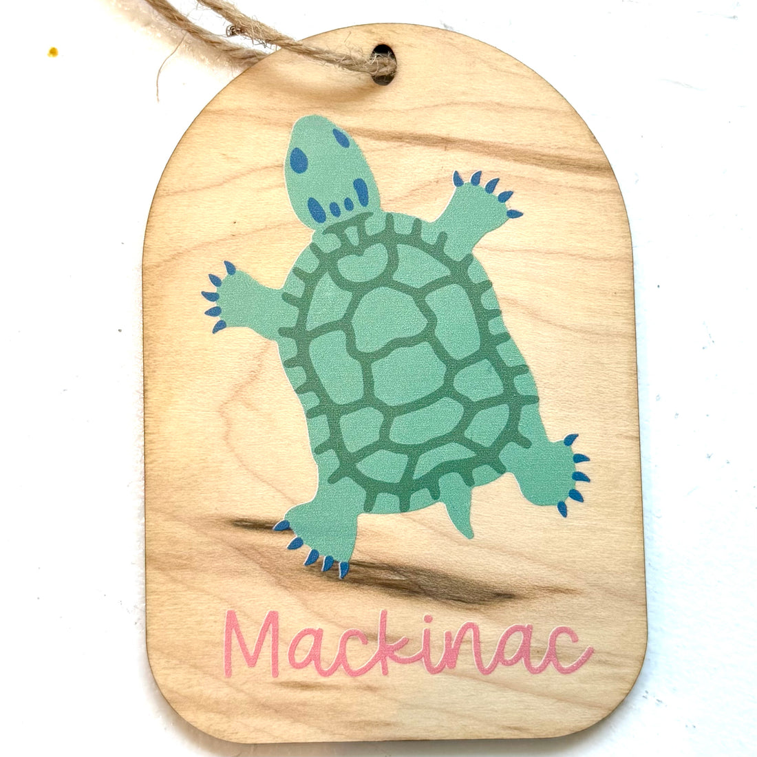 Turtle Wooden Ornament