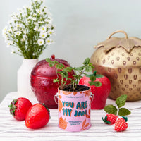 You Are My Jam Complimentary Color Grow Kits