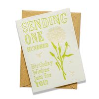 Color Box Design & Letterpress Cards