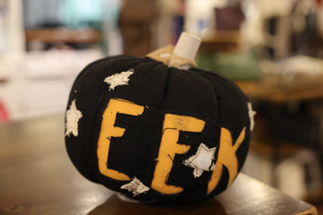 EEK Light Up Sound Pumpkin