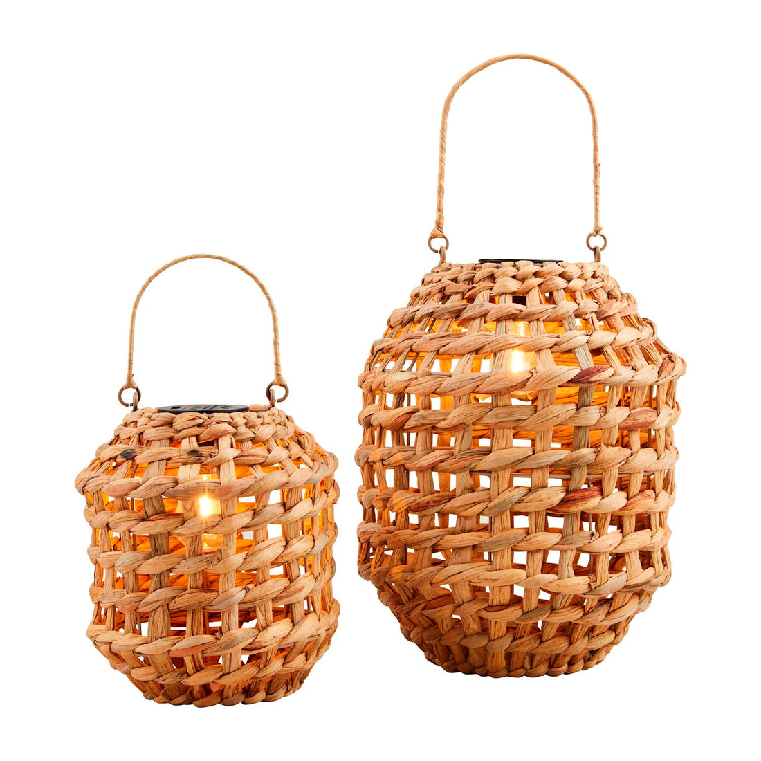 Mini Hyacinth Light-Up Lanterns