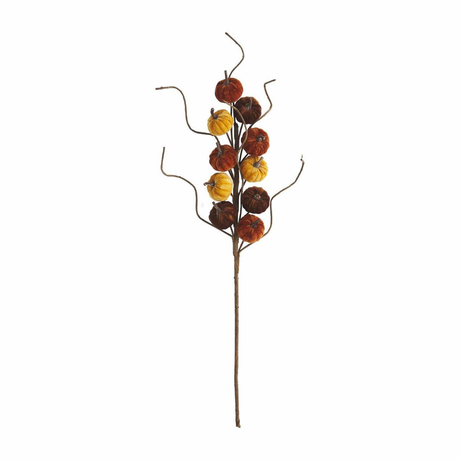 Harvest Pumpkin Stem