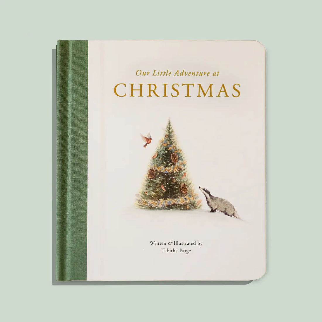 Our Little Adventure At Christmas (Baby's First Christmas)