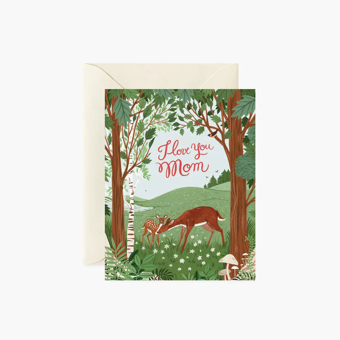 Botanica Paper Co. | Cards