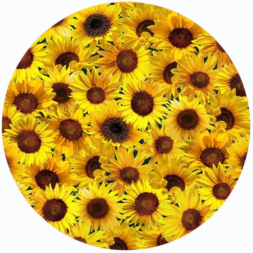 Sunflower I Jar Opener