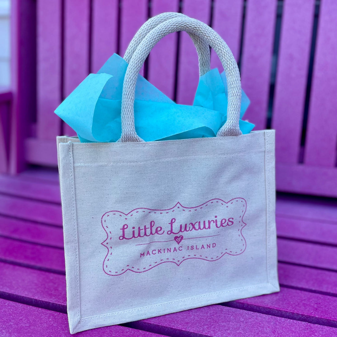 Little Luxuries Mini Canvas Bag