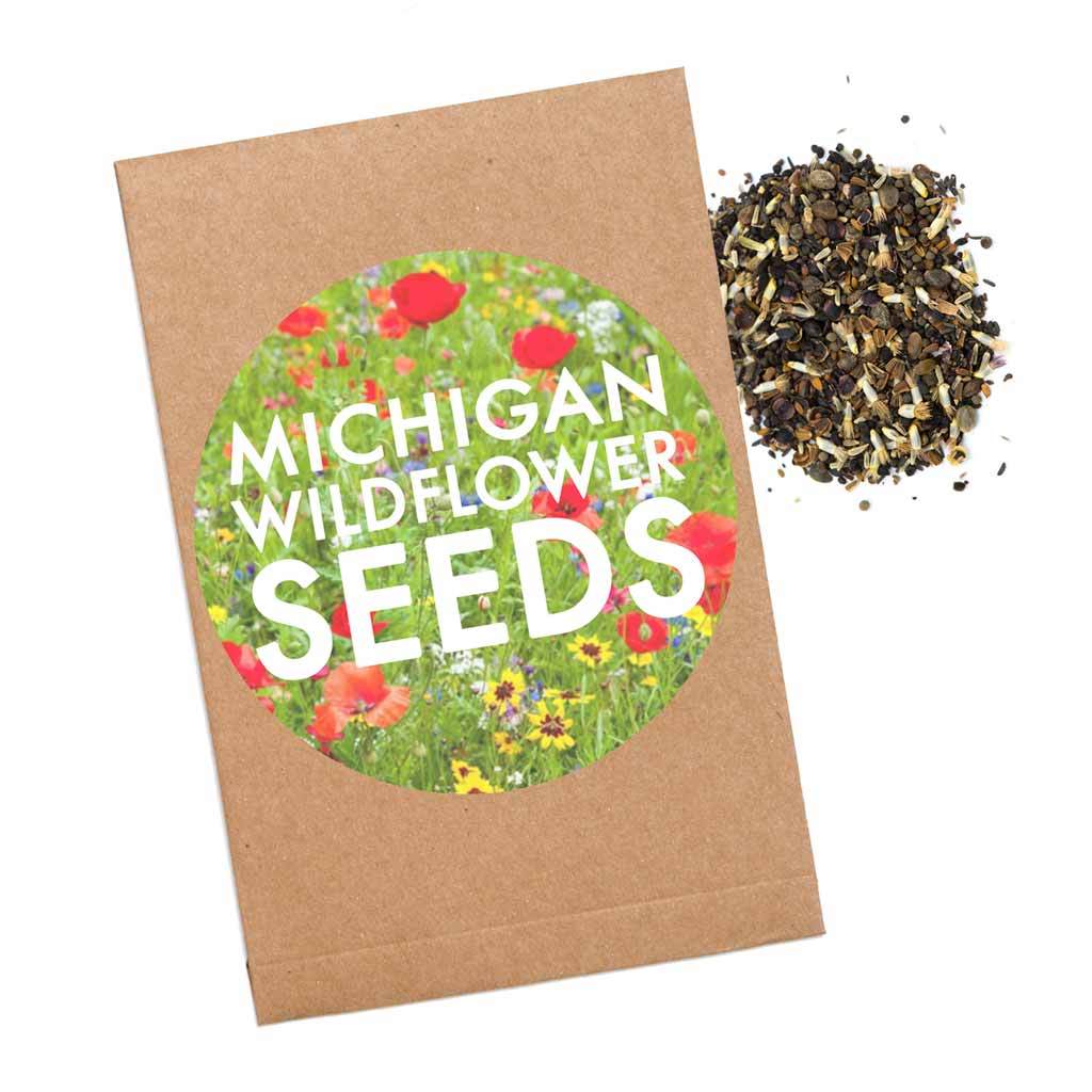 City Bird | Seed Packets