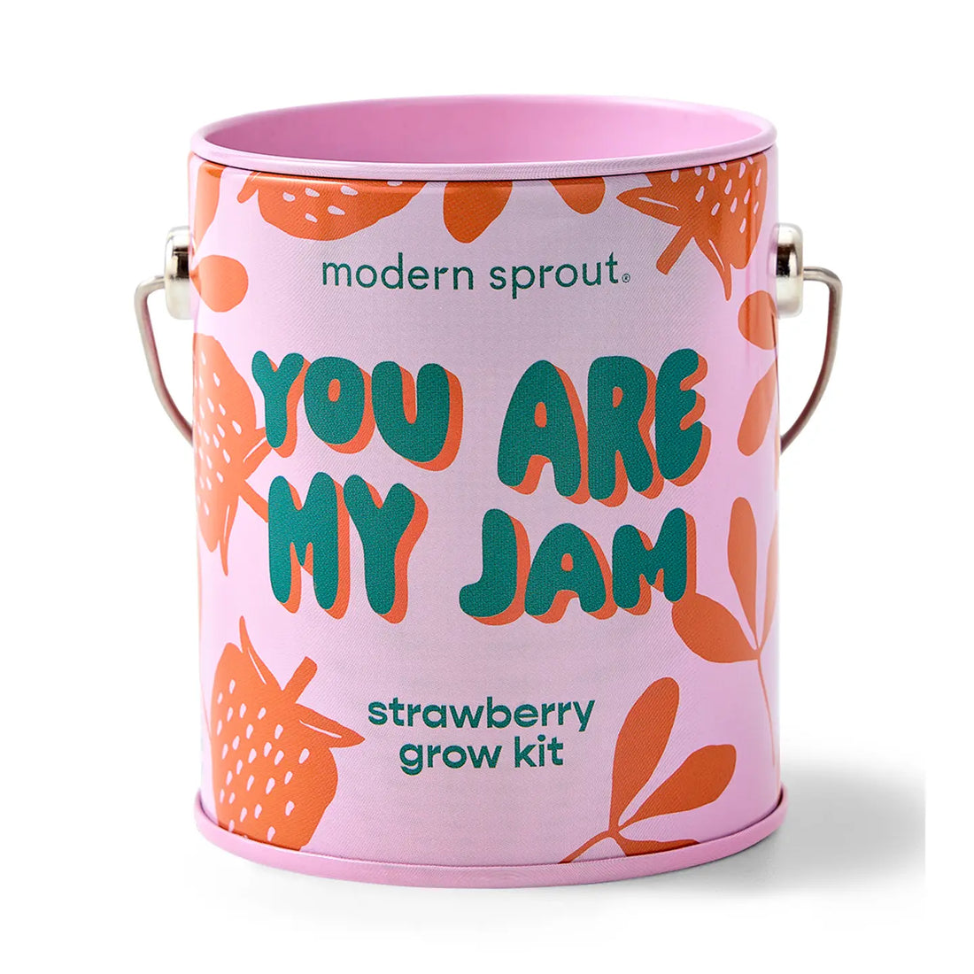 You Are My Jam Complimentary Color Grow Kits