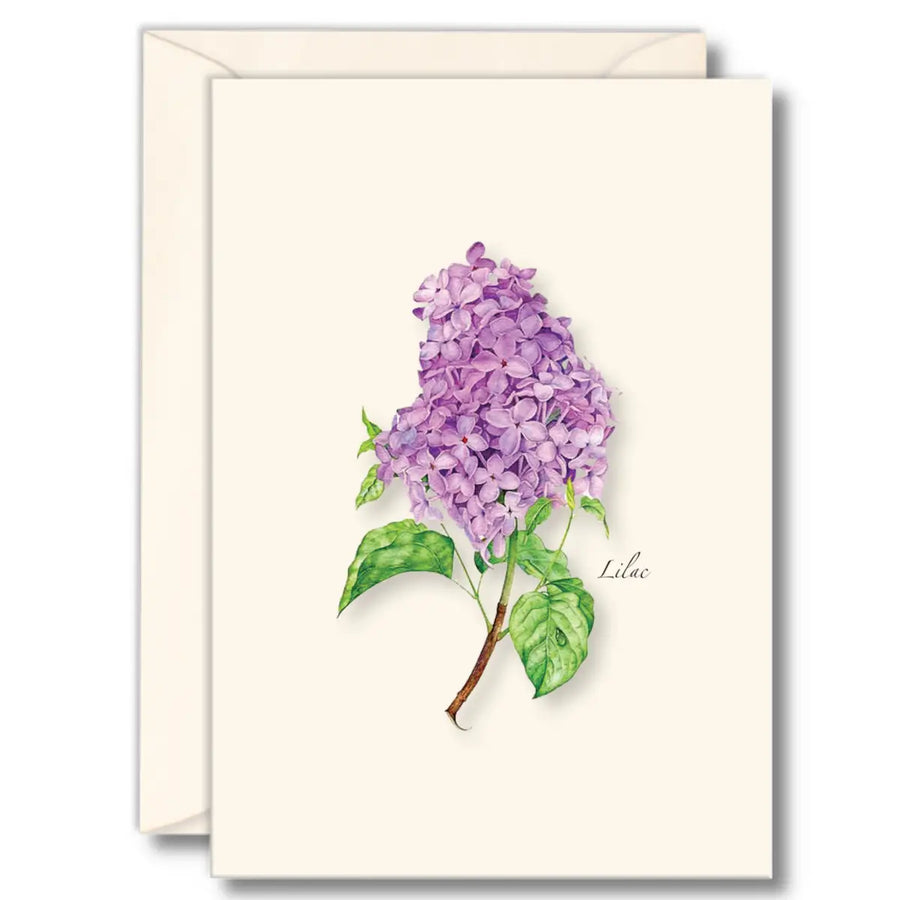 Lilac Cards