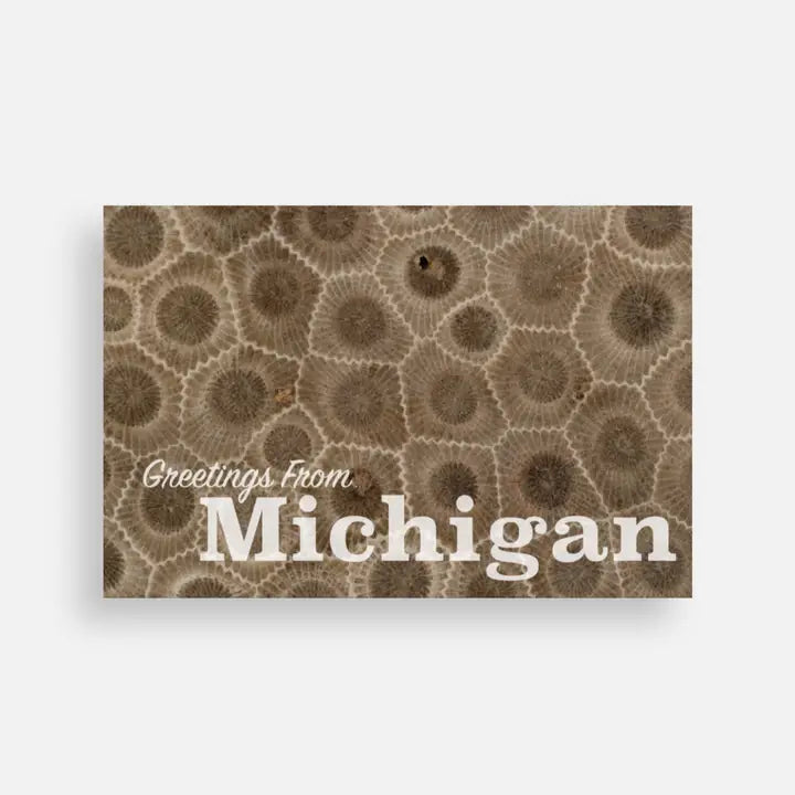 "Greetings From Michigan" Petoskey Stone Postcard