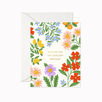 Cards | Linden Paper Co.