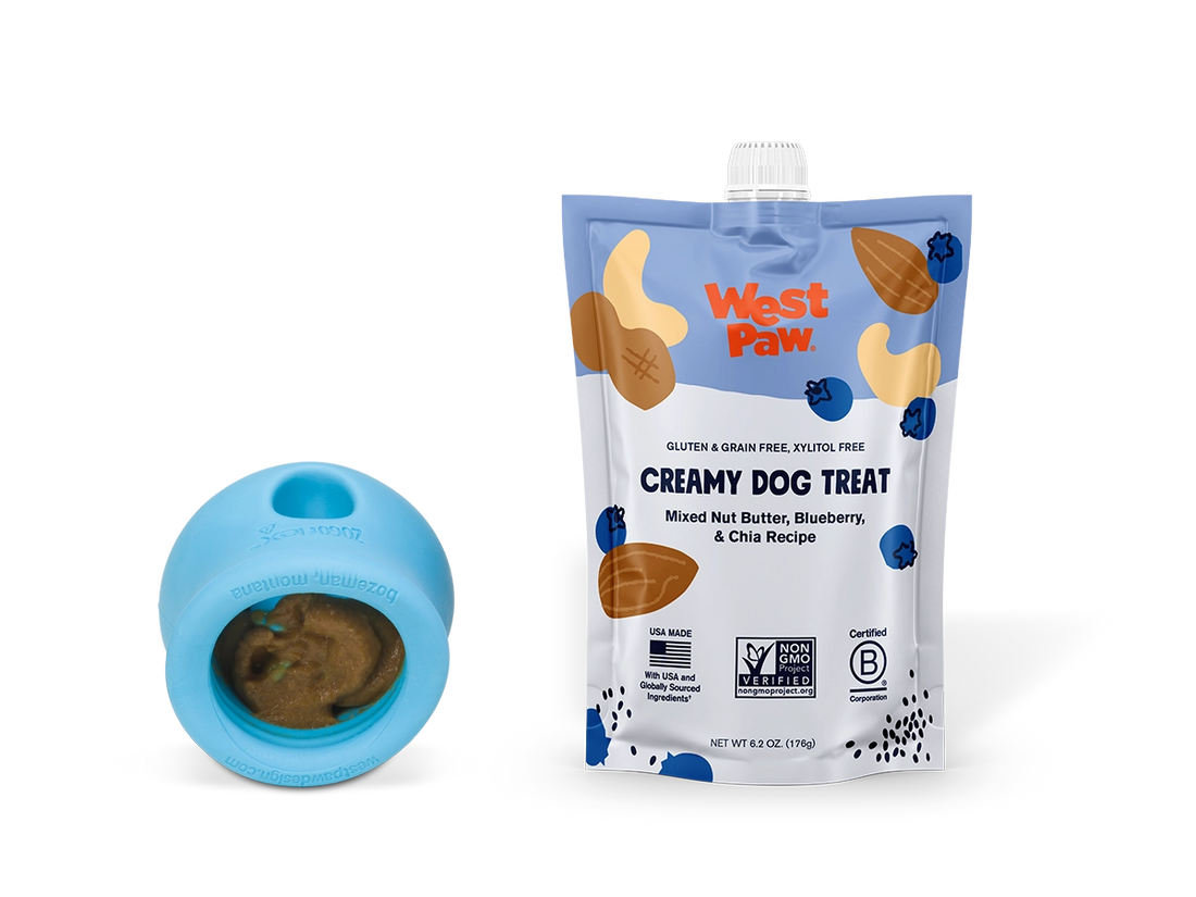 Nut Butter, Blueberry, and Chia Seed Creamy Dog Treat