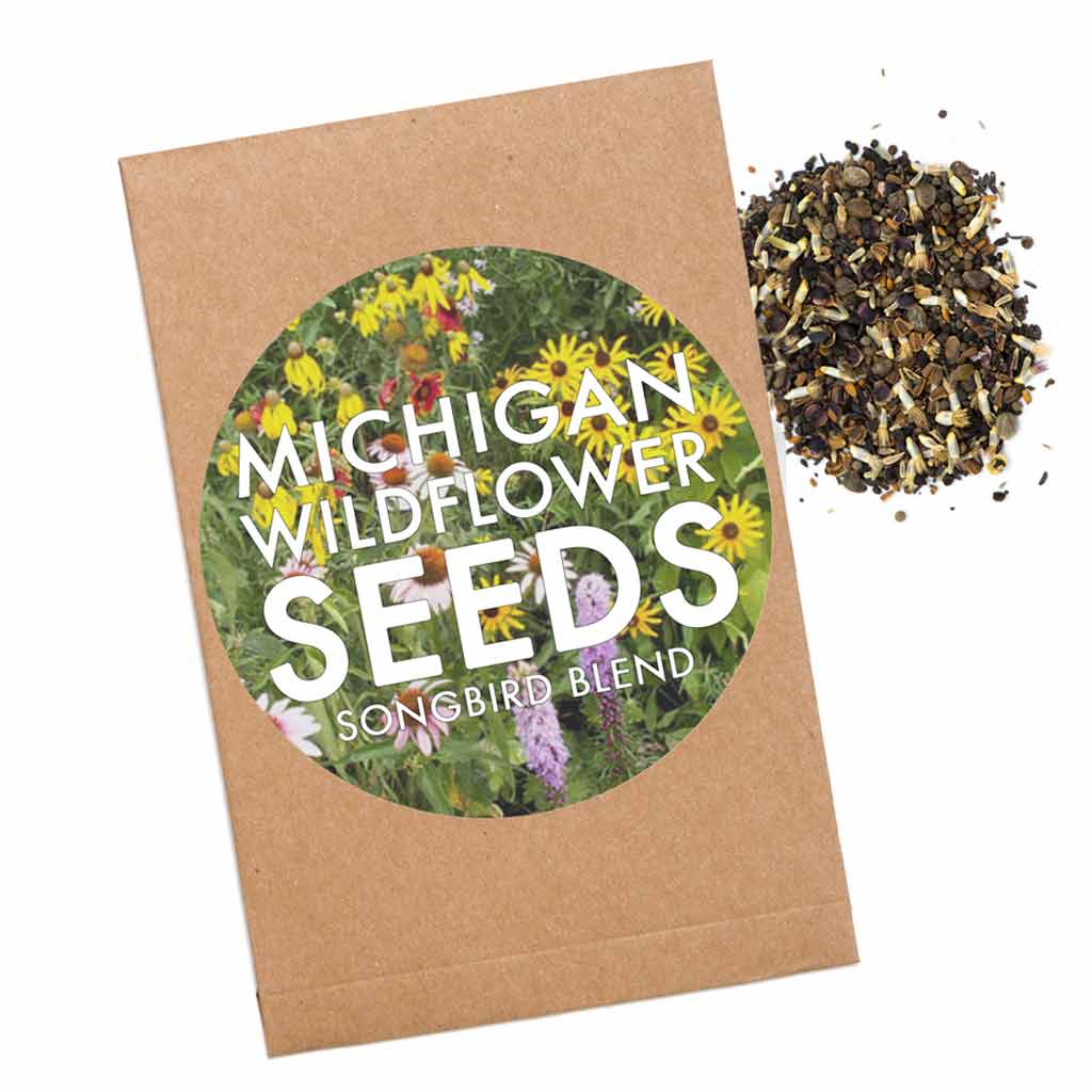 City Bird | Seed Packets