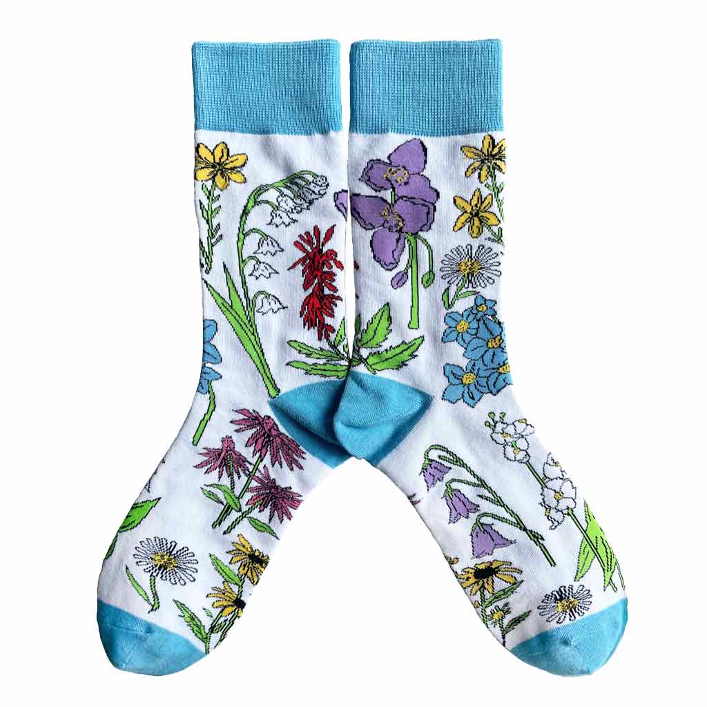 City Bird | Socks